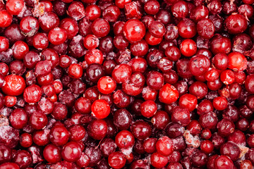 Closeup of red  frozen  ripe Lingonberry