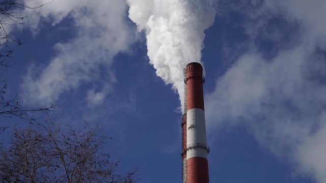 pipes emit harmful emissions polluting the environment