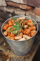 Green sprout in a bucket with stoppers for wine bottle