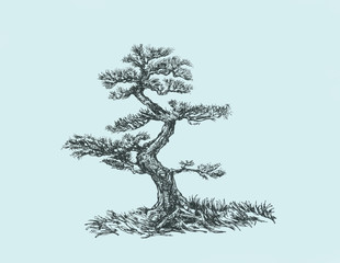 Ветер в ветвях сосны. © ozrolf