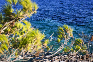 Ivan Dolac (Hvar island - Croatia) coastline