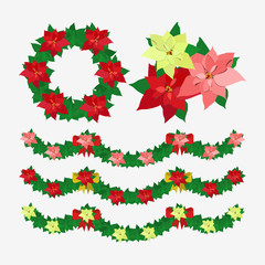 Red poinsettia flowers set on white