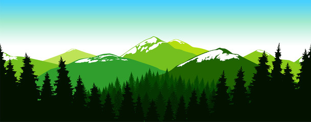 Panorama of mountains. Coniferous forest. Snowy peaks. Seamless landscape. Natural shades.
