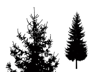 Silhouette of pine tree. Hand made.