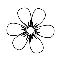 flower drawing isolated icon vector illustration design