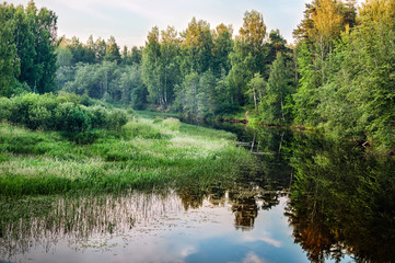 Obraz premium landscape. Calm river among the trees in a forest at sunset