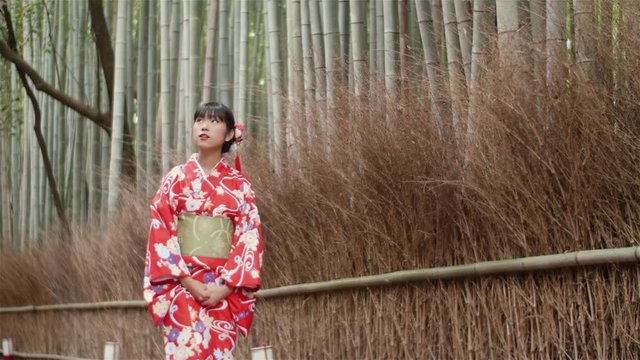 Beautiful Japanese Kimono girl walking through bamboo forest in Kyoto Japan 