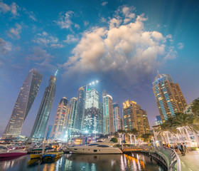 Fototapeta premium Night skyline of Dubai Marina - UAE