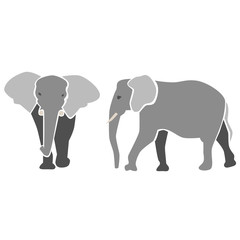 Elephants in grey, isolated vector