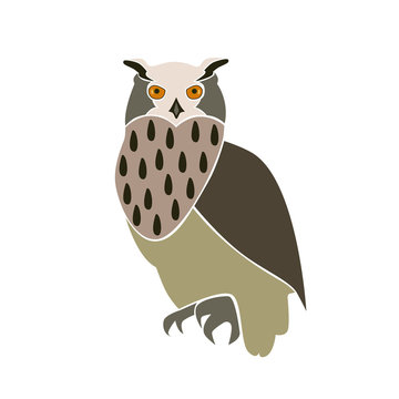 Eurasian eagle owl, isolated vector