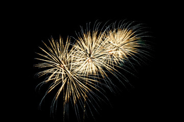 Fototapeta premium Fireworks light up the sky