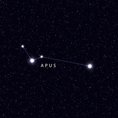 Sky Map with the name of the stars and constellations. Astronomical symbol constellation Apus © lauritta