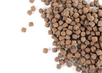 fish feeding food isolated on white background