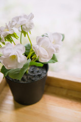 Flowers pots decoration on wooden table