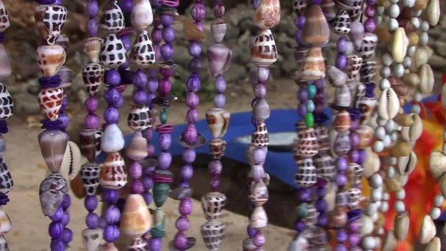 Purple beads and shells