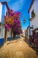 Beautiful narrow streets in the medieval town of Obidos. Portugal