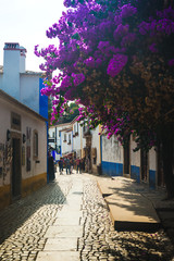 Beautiful narrow streets in the medieval town of Obidos. Portugal
