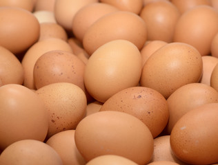 eggs raw plenty for background