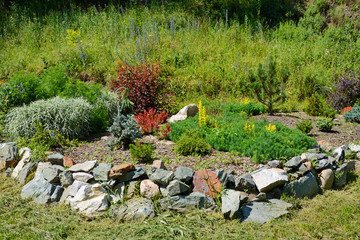 Decorative area blooming summer garden