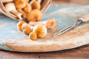 mushrooms honey agarics in a bast basket on a table, selective focus