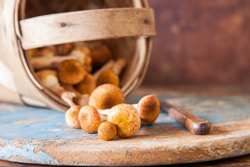 mushrooms honey agarics in a bast basket on a table, selective focus