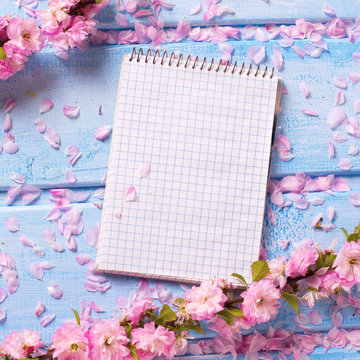Background  with sakura  pink flowers and empty tag  on blue woo