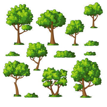 Illustration of some trees and bushes