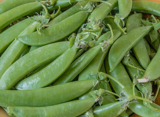 Fresh sugar green pea,closeup shot