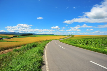 Fototapeta na wymiar Rural Road at Countryside of Hokkaido, Japan