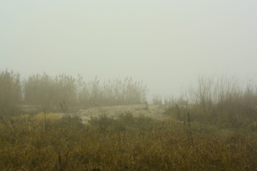 Obraz na płótnie Canvas Пляж в тумане