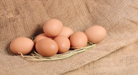 Chicken Egg , egg on a brown sackcloth