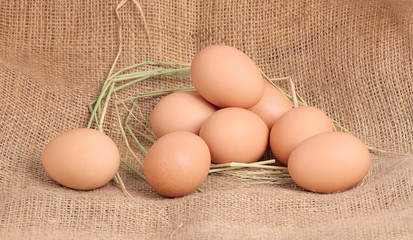 Chicken Egg , egg on a brown sackcloth