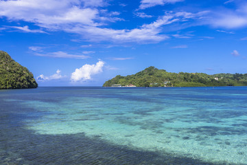 Fototapeta premium コロール島の美しい海