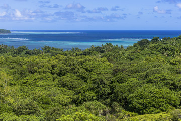 Fototapeta na wymiar バベルダオブ島の海と森