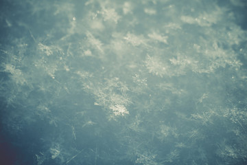 Fresh Snow Macro Retro