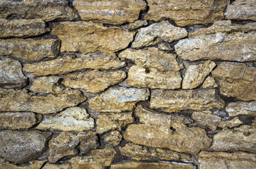wall of the shell, in the form  wild cobblestone