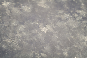 Fresh Snow Macro