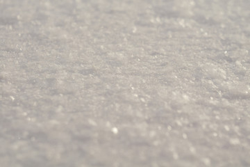 Obraz premium Fresh Snow Macro