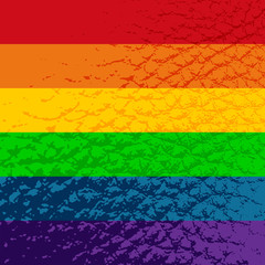 gay flag texture