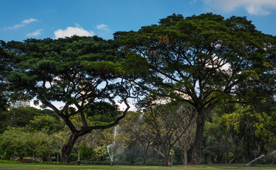 Automatic sprinkler watering in the public park