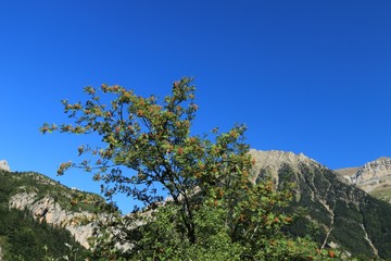 Mountains in the Pyrenees, Ordesa Valley National Park , Spain.
