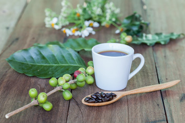 Fresh coffee beans on wood and coffee cup