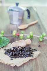 Fresh coffee beans on wood