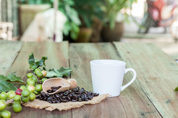 Obraz na płótnie Canvas Fresh coffee beans on wood and coffee cup