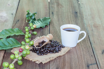Fresh coffee beans on wood and coffee cup