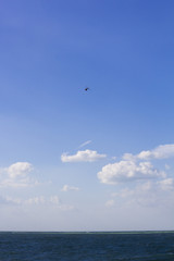 Helicopter In The Sky