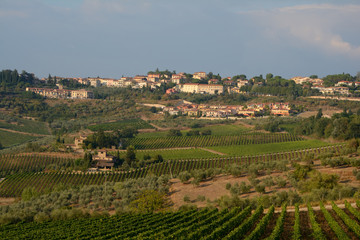 Fototapeta na wymiar View of city in Tuscany, Italy.