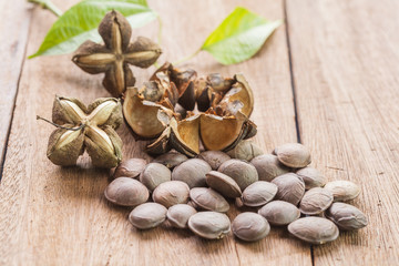 dried capsule seeds fruit of Sacha Inchi peanut on wooden