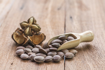 dried capsule seeds fruit of Sacha Inchi peanut on wooden