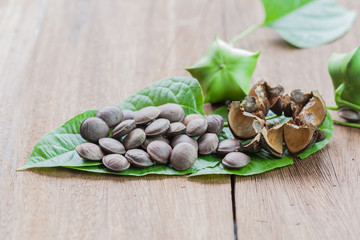 dried capsule seeds fruit of Sacha Inchi peanut in dish